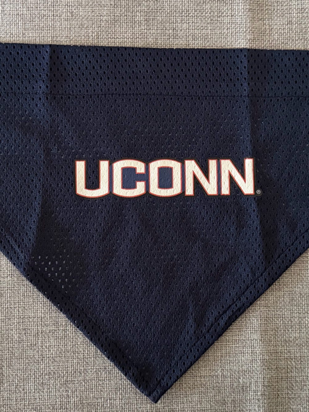 UConn Huskies Dog Bandana – Large